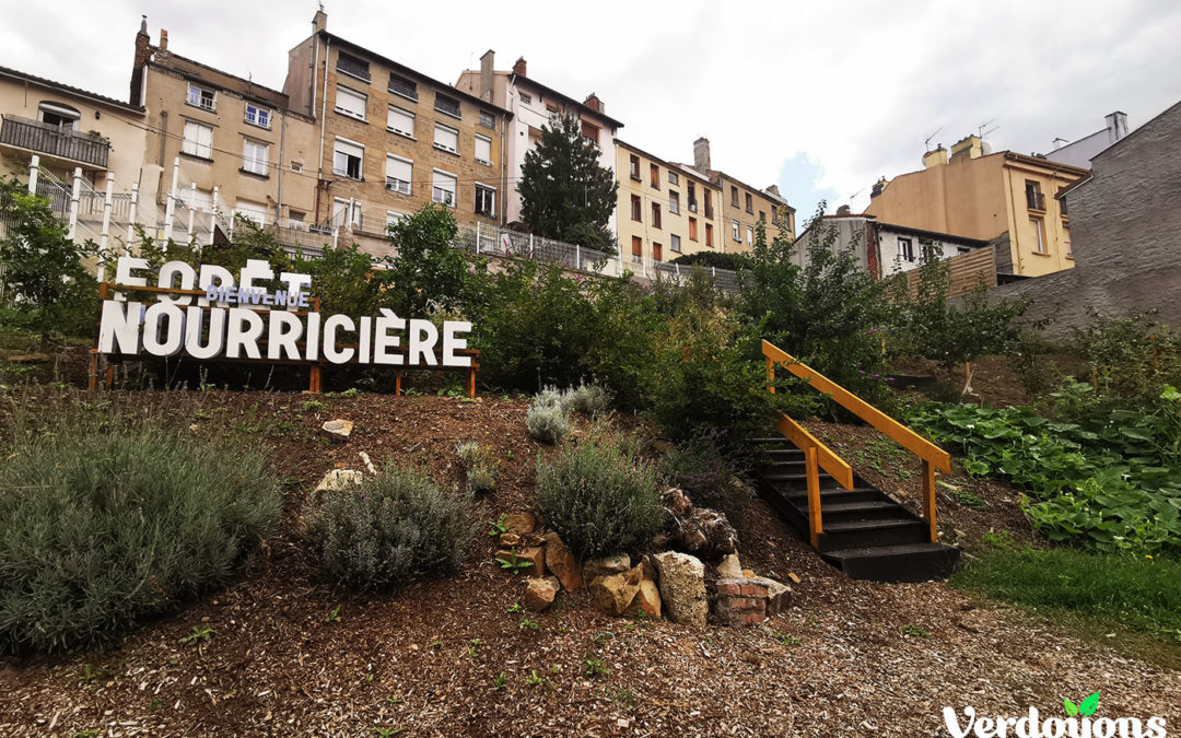 La Forêt Nourricière